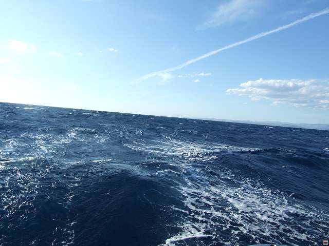 img00077.jpg