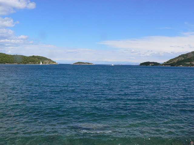 img00027.jpg